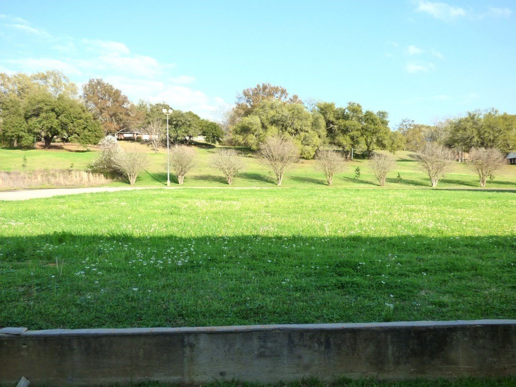 Picture 3