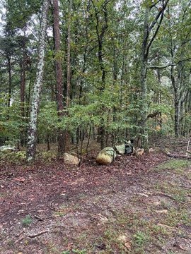 Land, Jasper, GA