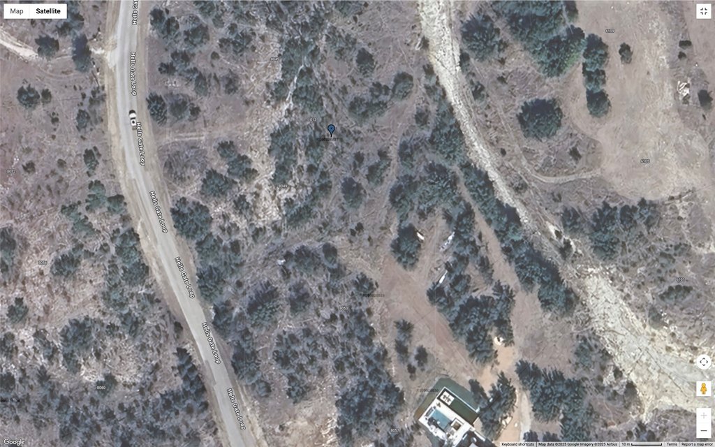 Picture 5