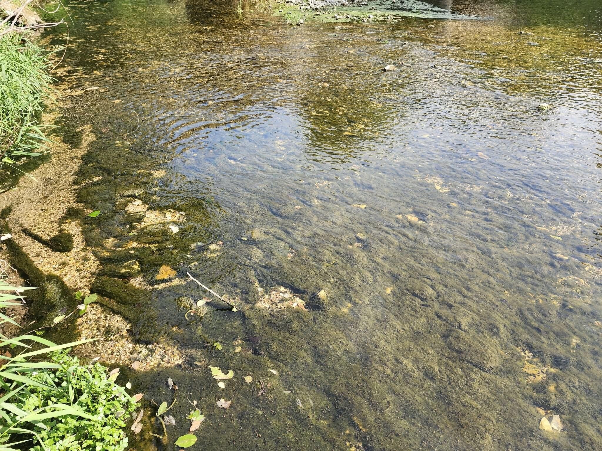 10 Acres with River Frontage
