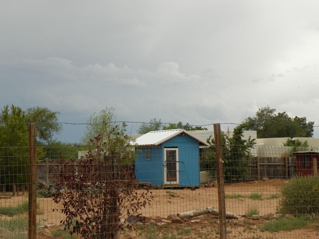 Picture 14