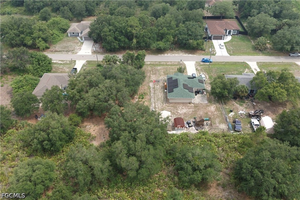 Picture 6