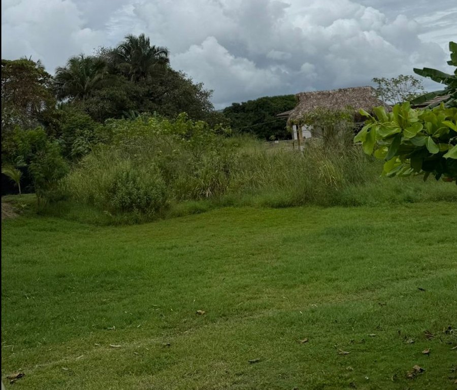 Picture 6
