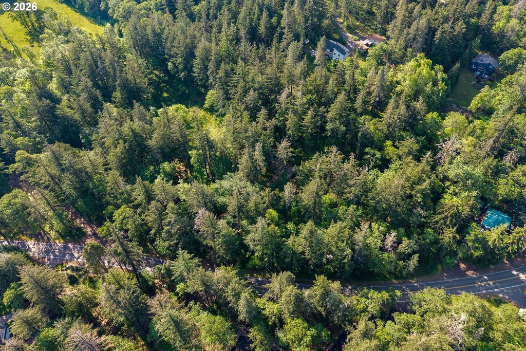 Picture 44