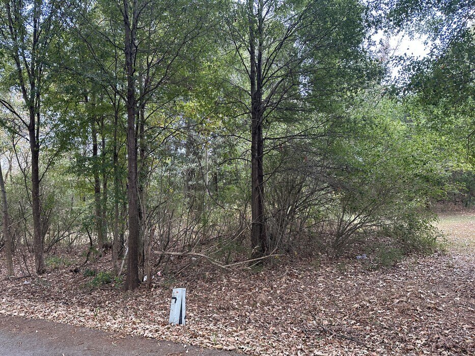 Picture 16