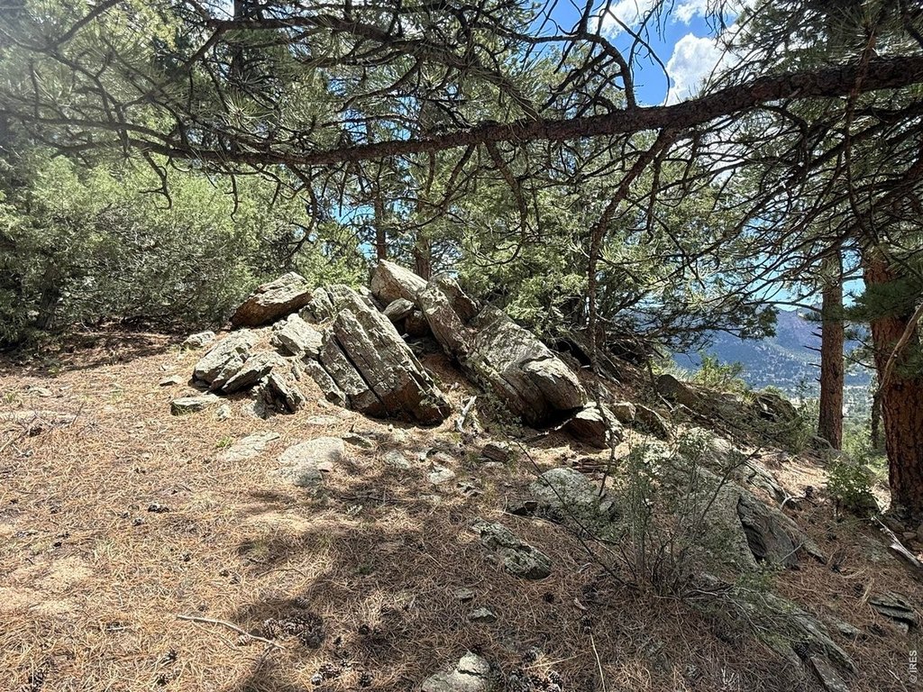 Picture 27