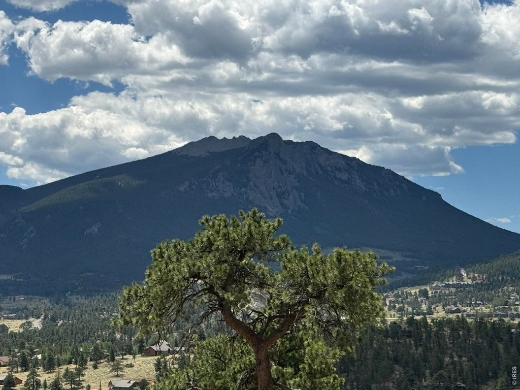 Picture 25