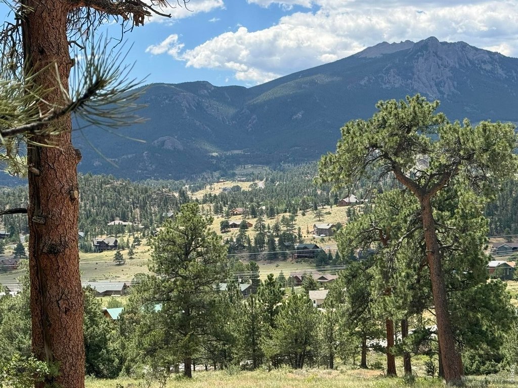 Picture 21