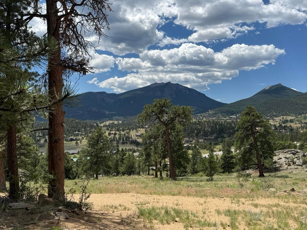 Picture 20