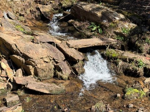 LAND - Brasstown, NC