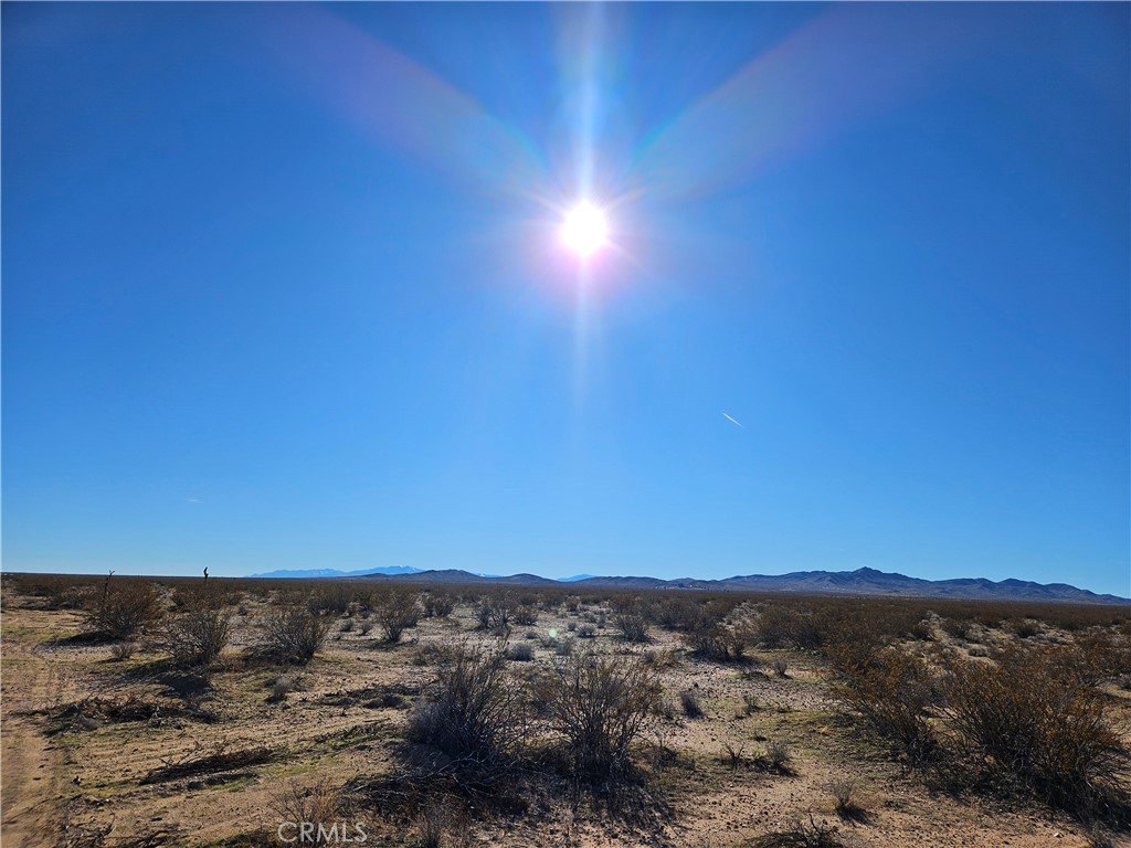 2.5 Acres Raw Desert Land