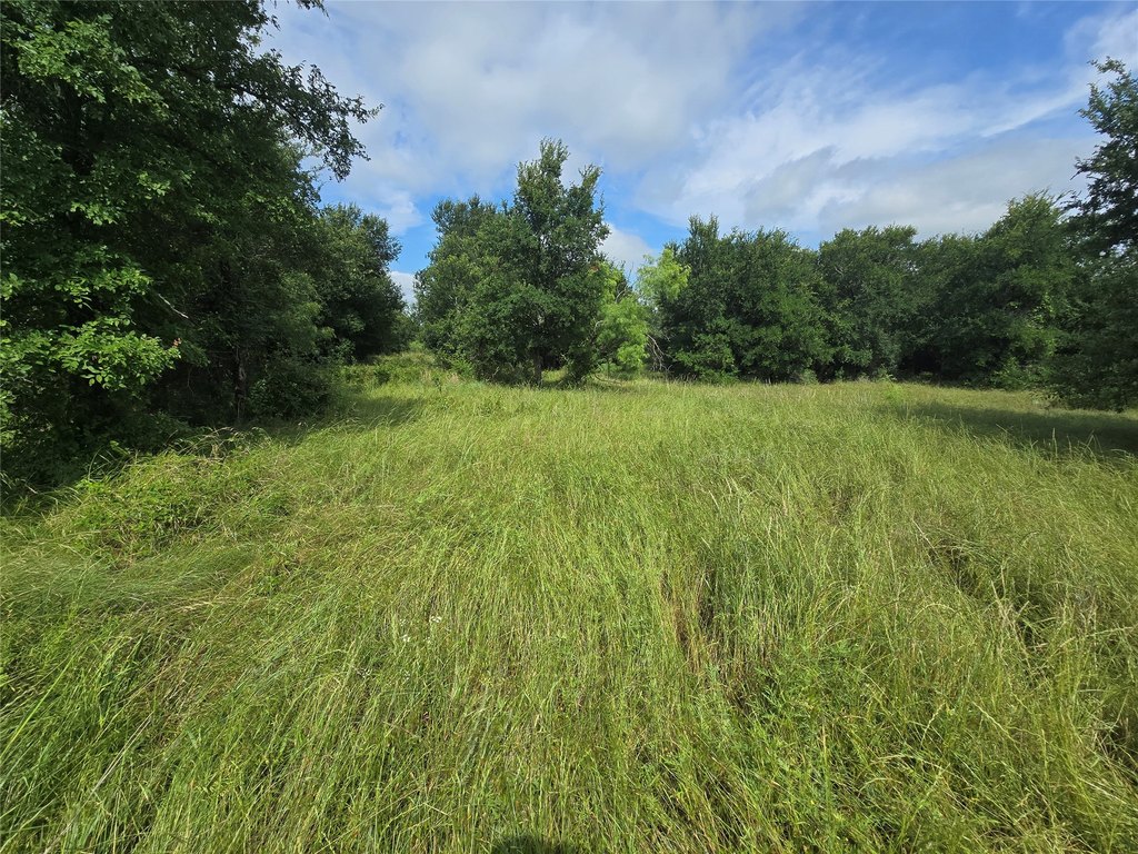 Picture 5