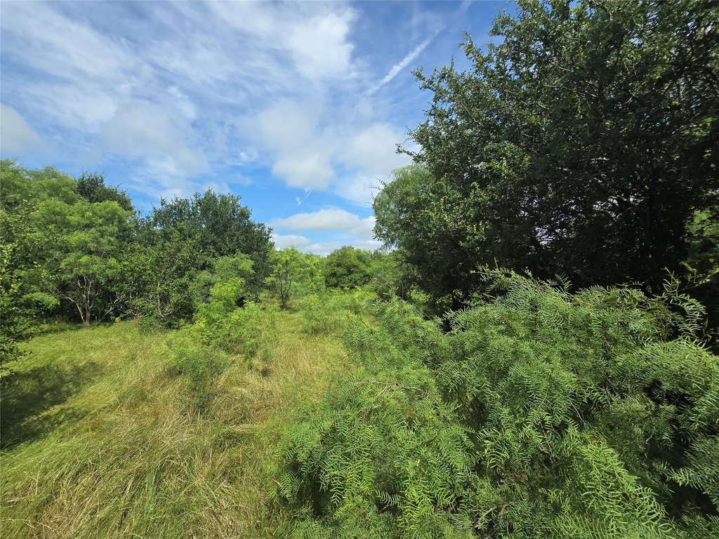 Picture 13
