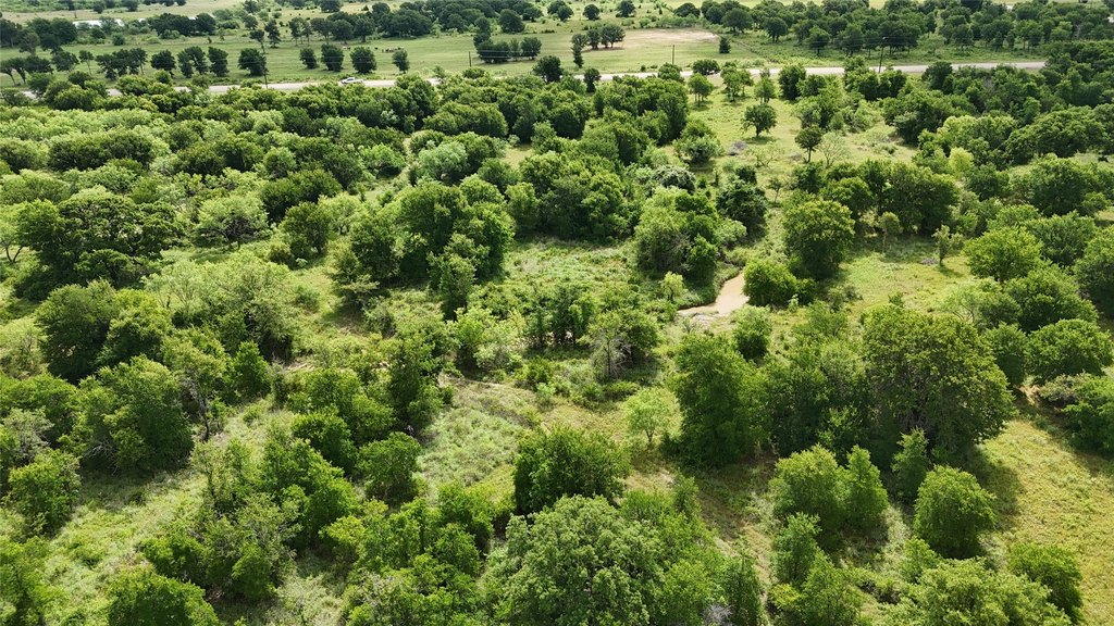 Picture 27