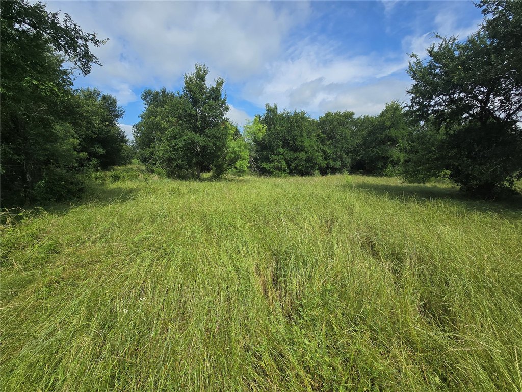 Picture 6