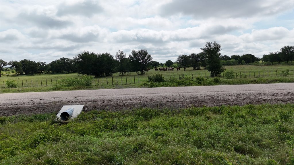 Picture 21