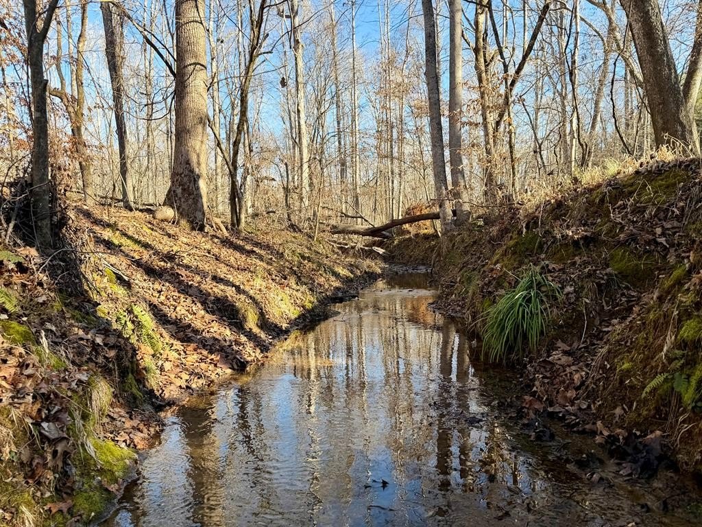 Laurens County Acreage with Creek