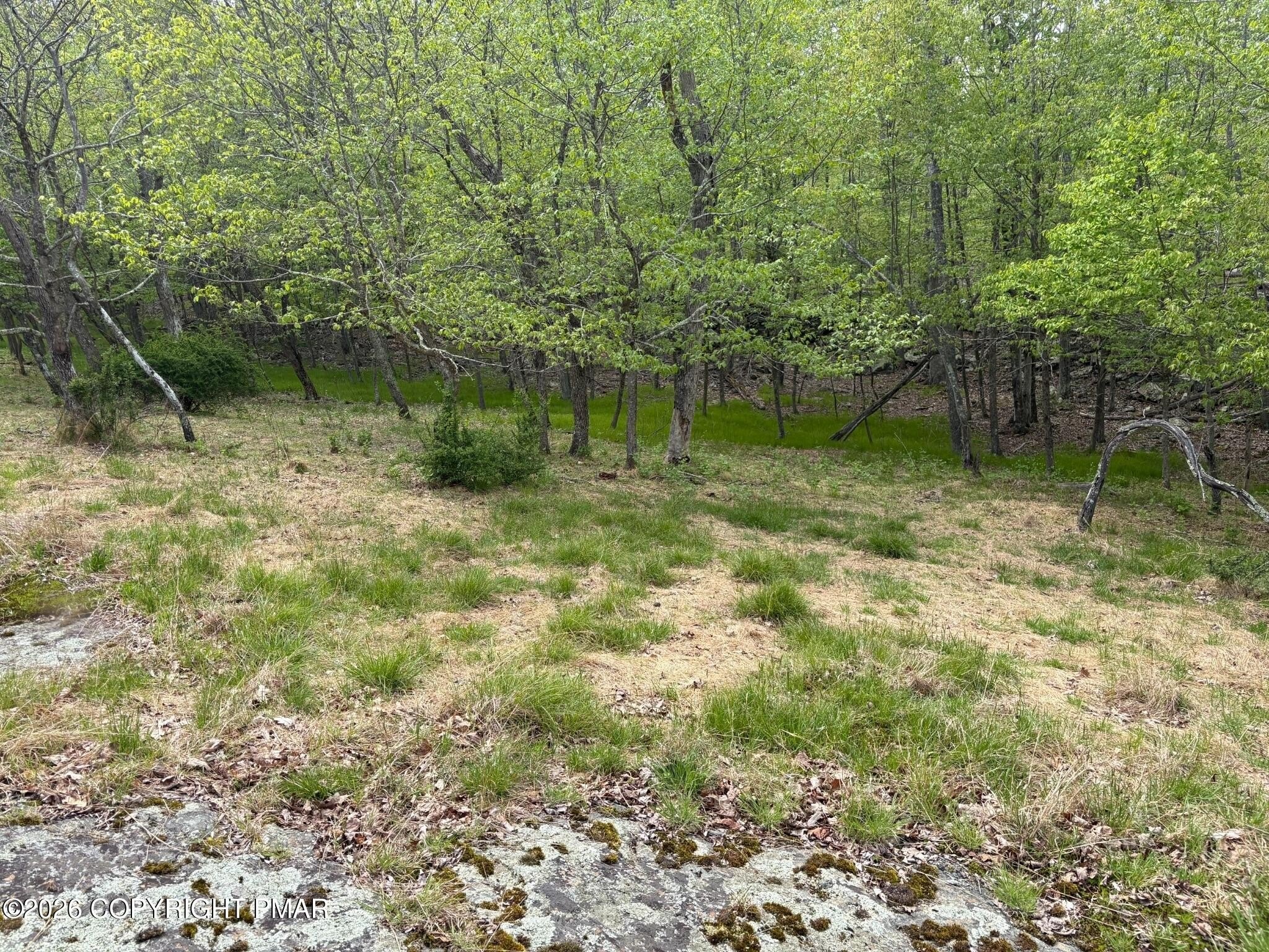Land in Wilderness Acres Community
