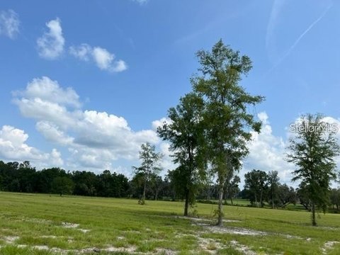 Treed Pasture Farmland