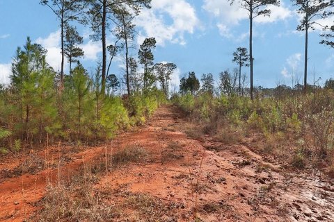 Cataula Hunting Land For Sale