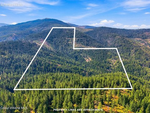 Timbered Recreational Land
