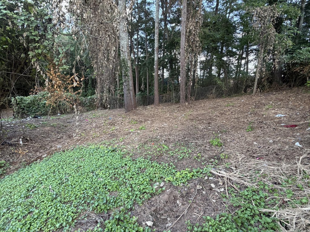 Picture 9