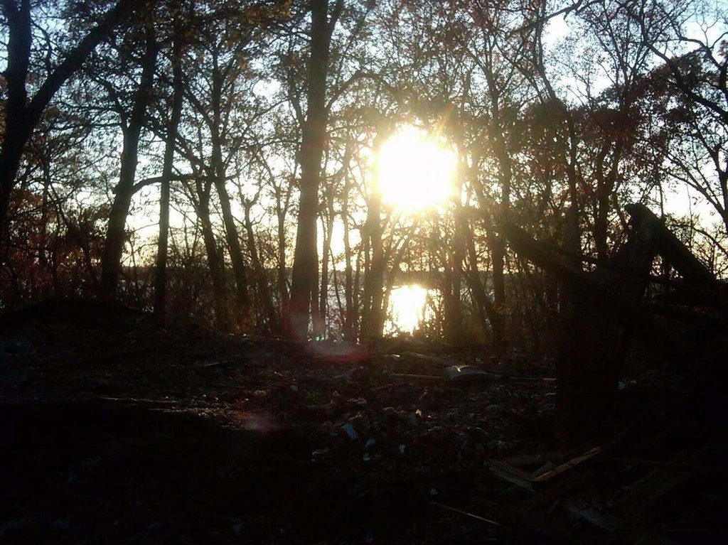 Picture 12