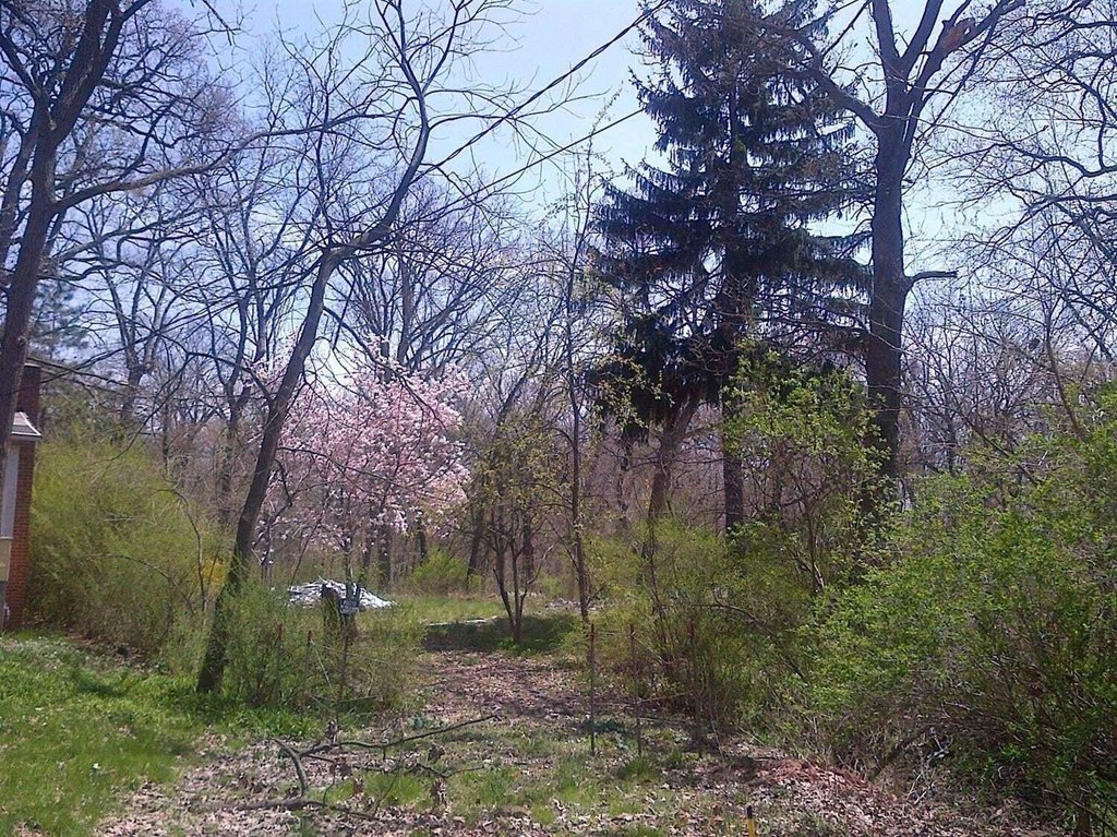 Picture 11
