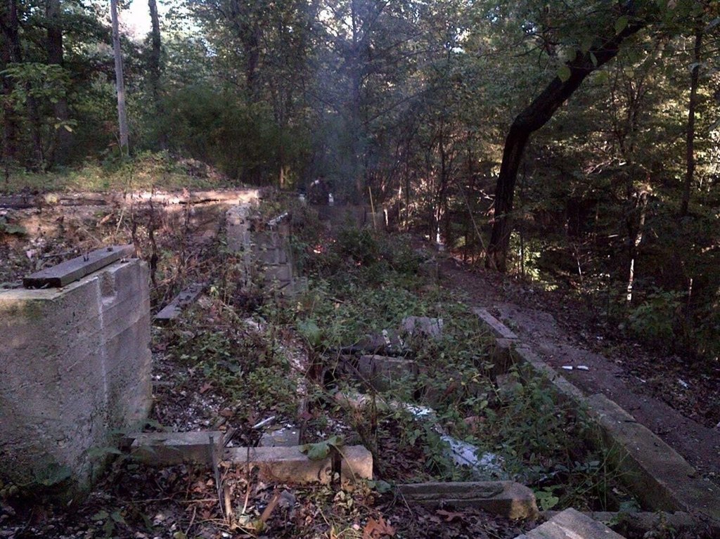 Picture 13