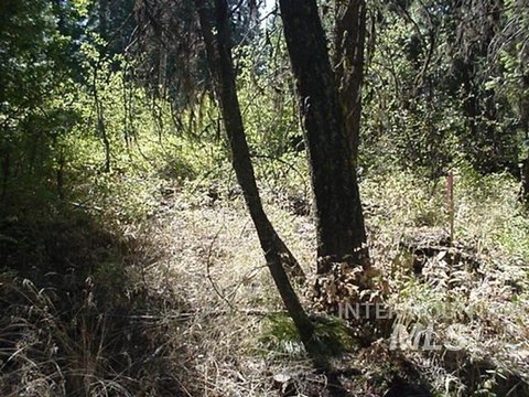 LAND - Cascade, ID