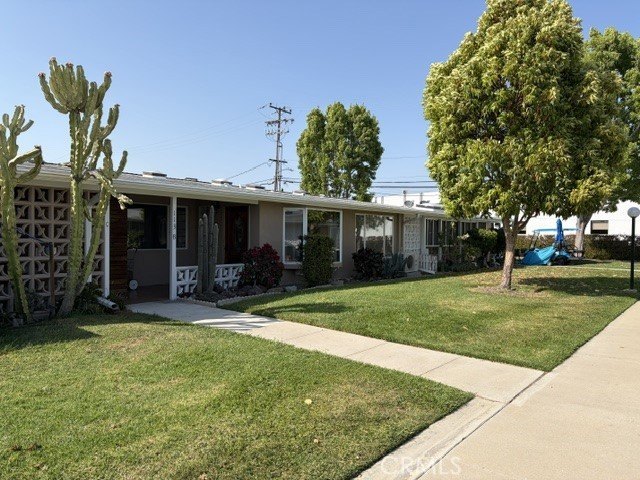 Picture 20