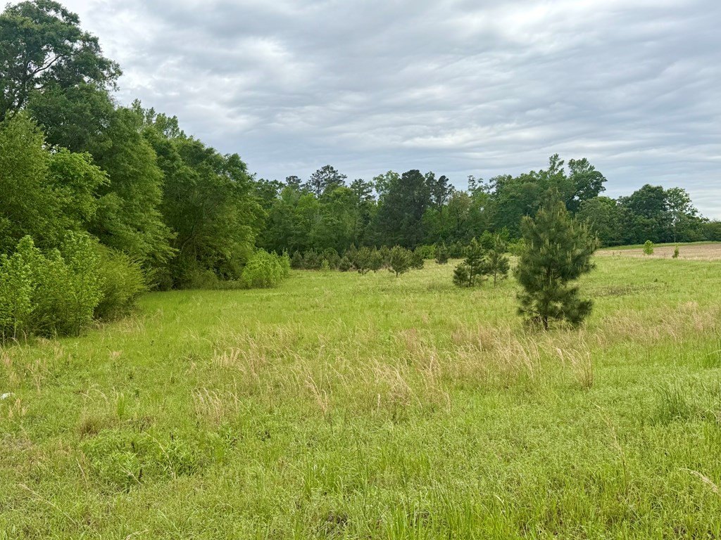 Picture 4