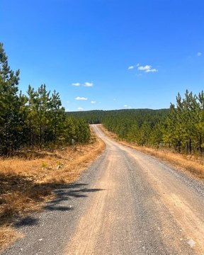 LAND - Broken Bow, OK