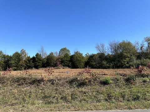 Residential Lot in Etowah, TN