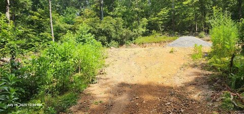 Unrestricted Land in Holladay, TN