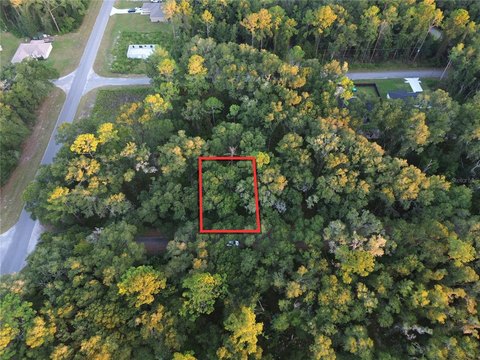 Land, OCKLAWAHA, FL
