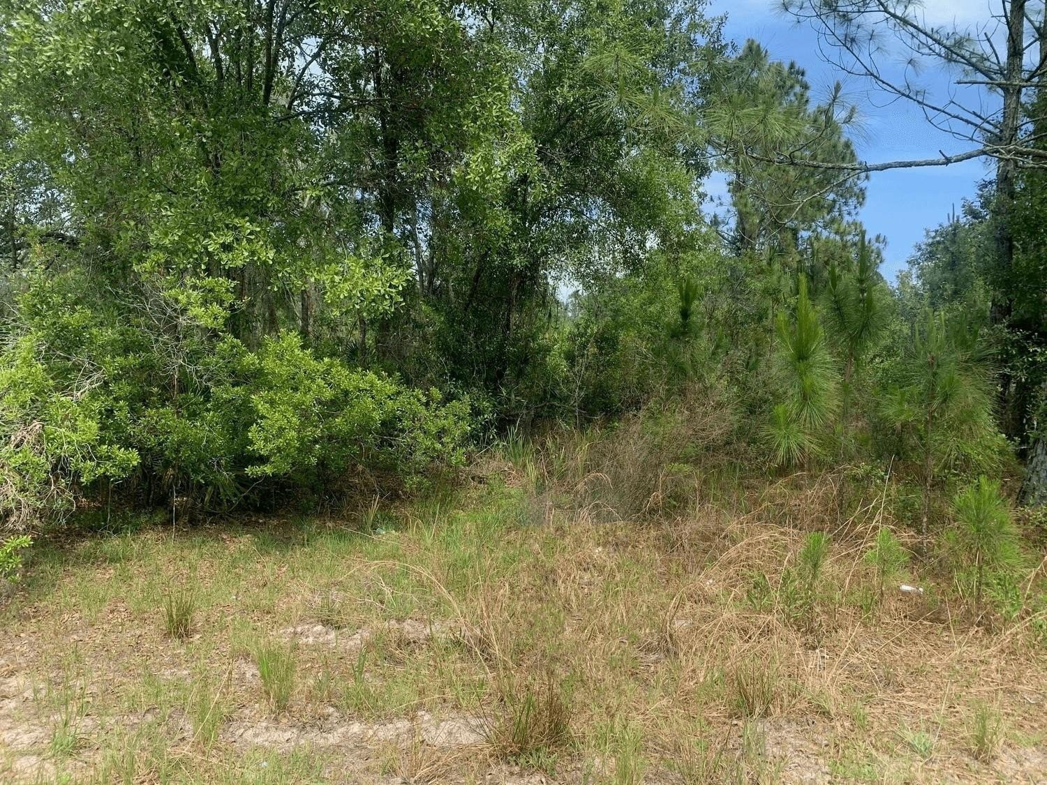 Land in Rancho Bonito