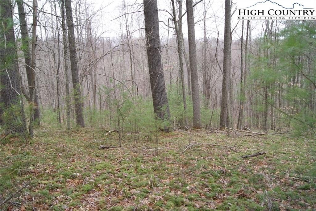 Land in Laurel Mountain Estates