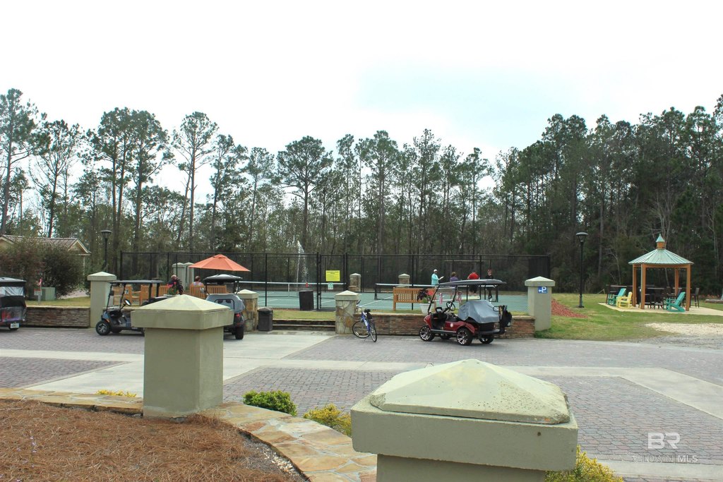 Picture 43