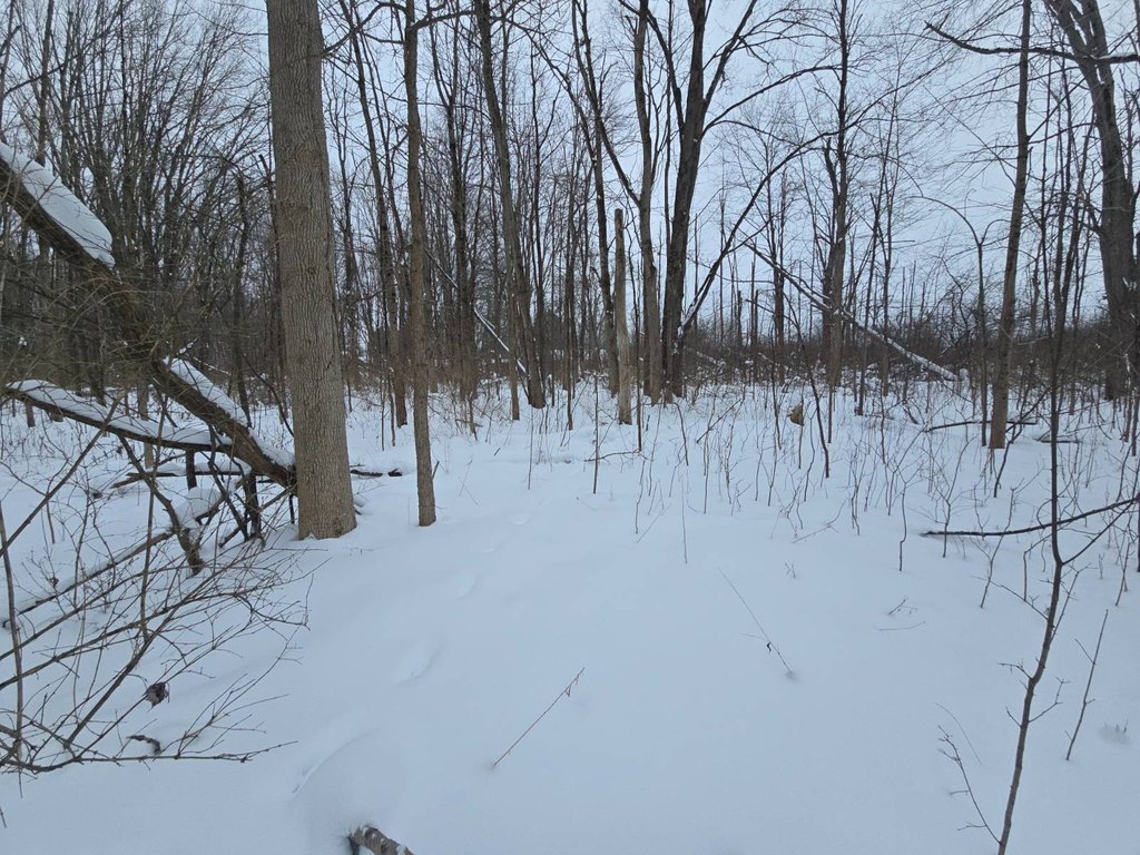 Picture 20