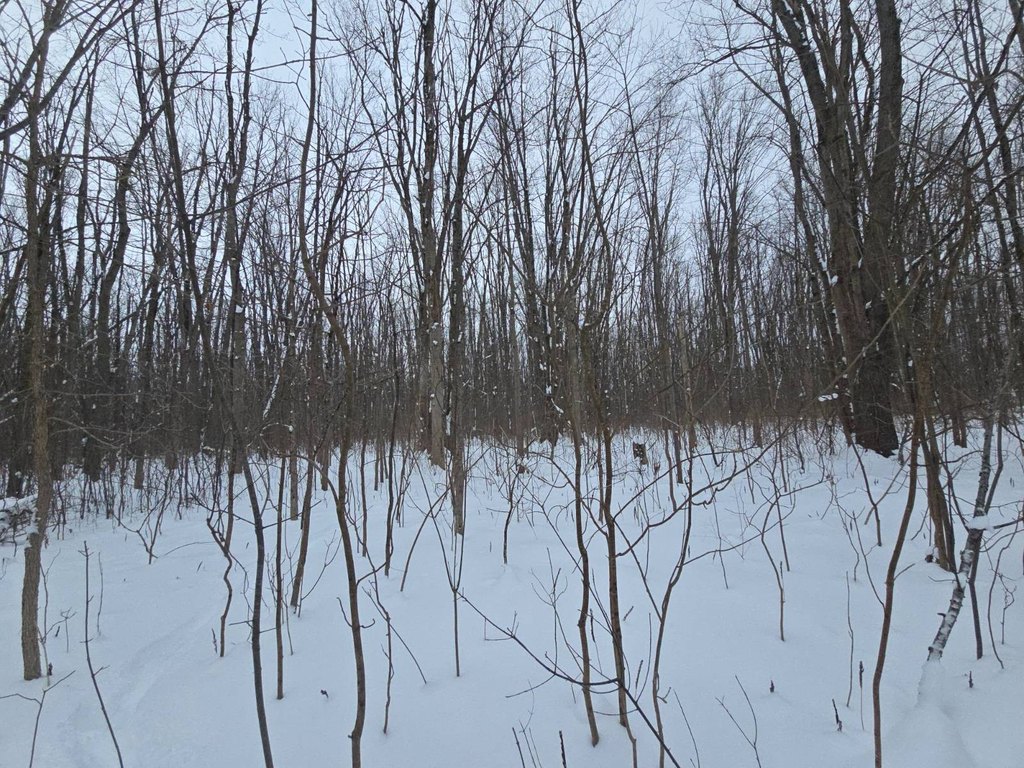 Picture 22