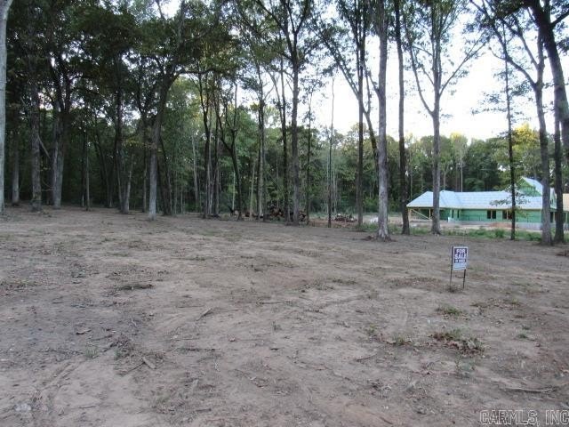 Picture 6