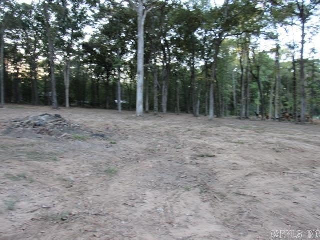 Picture 7