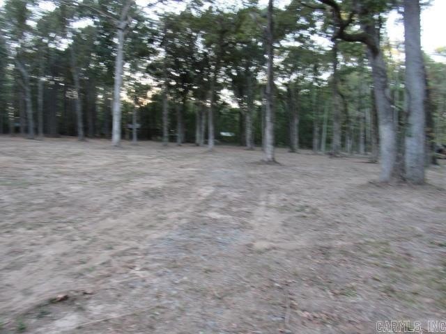 Picture 2