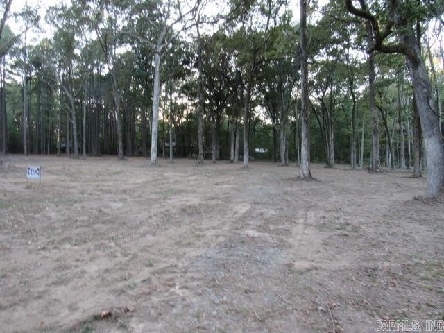 Picture 3
