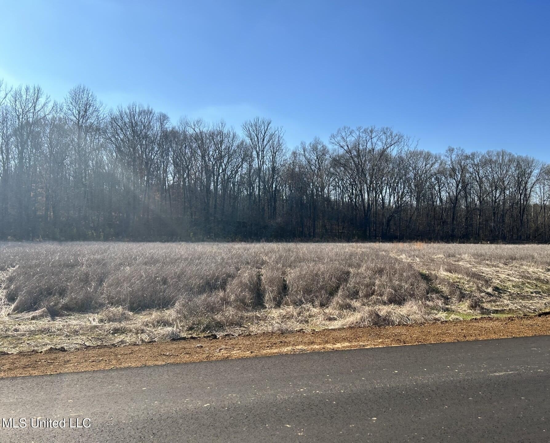 Land in Byhalia, Mississippi