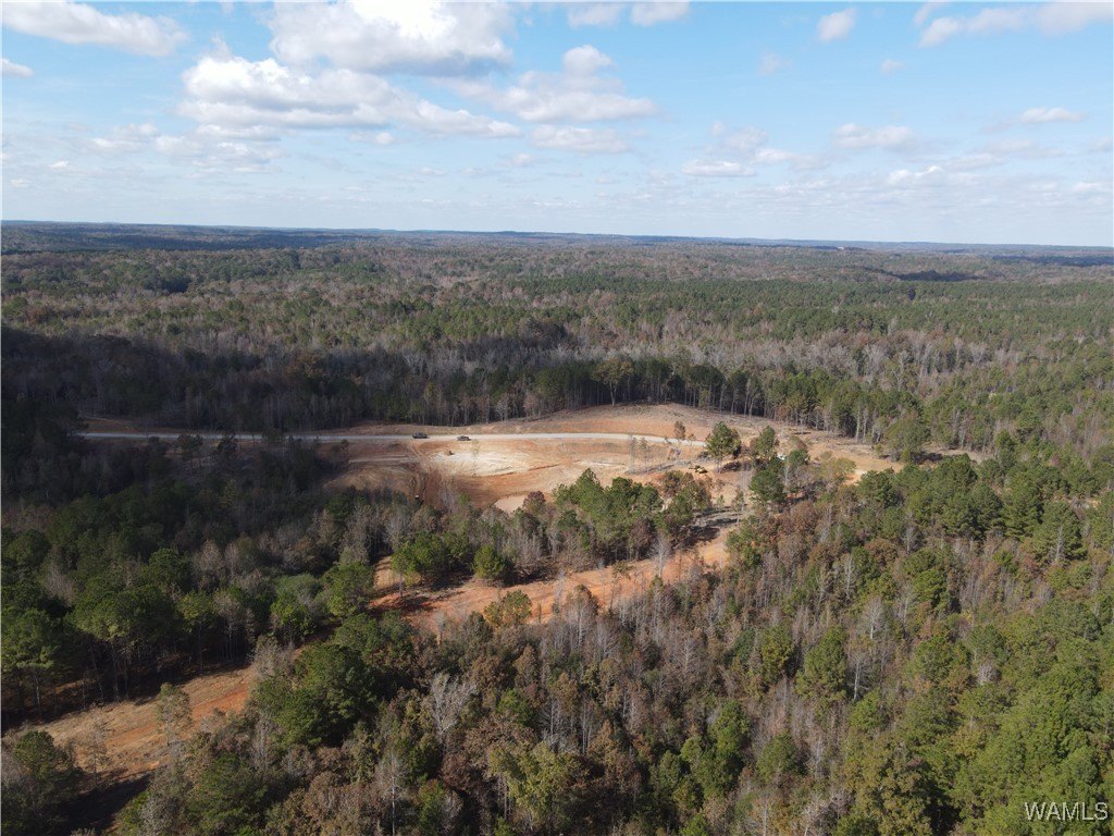 Northport Land Opportunity
