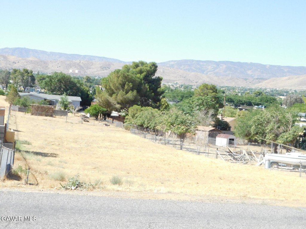 Picture 9