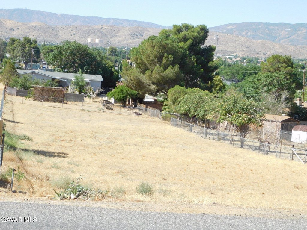 Picture 10