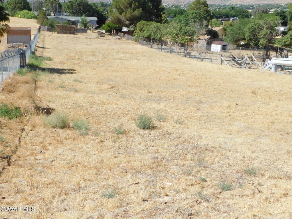 Picture 11